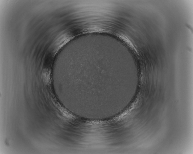 X0000095130873200712071306