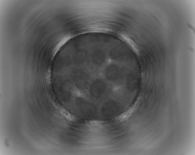 X0000095130875200712071306