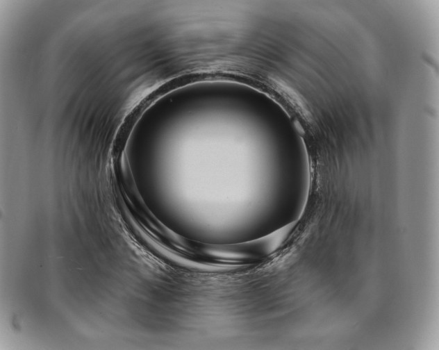 X0000095130876200712071306