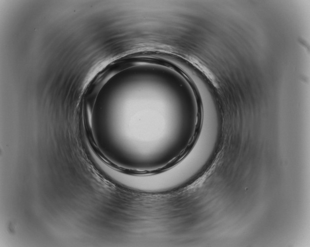 X0000095130877200712071306