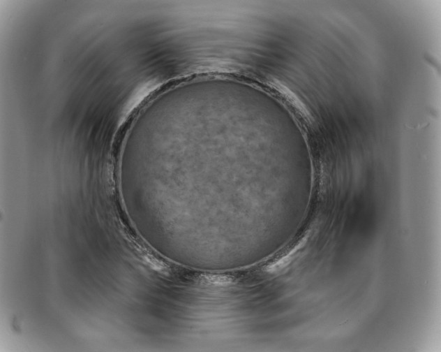 X0000095130878200712071306