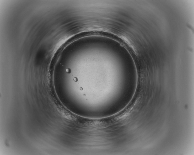 X0000095130879200712071306