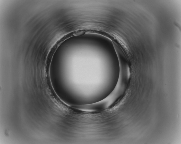 X0000095130880200712071306