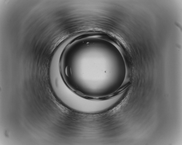 X0000095130881200712071306