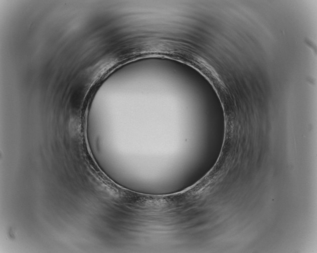 X0000095130882200712071306