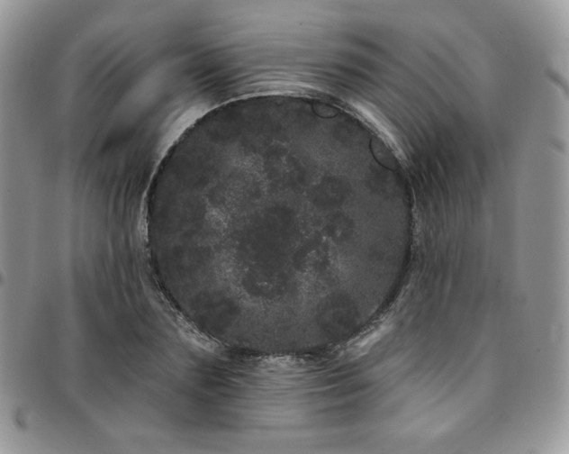 X0000095130883200712071305