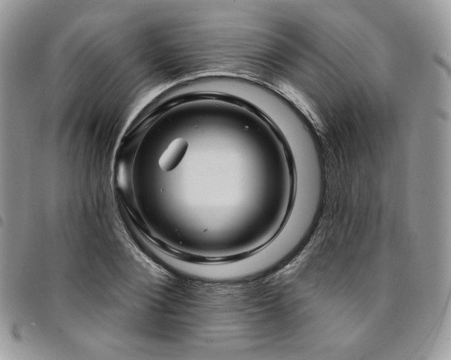 X0000095130884200712071305