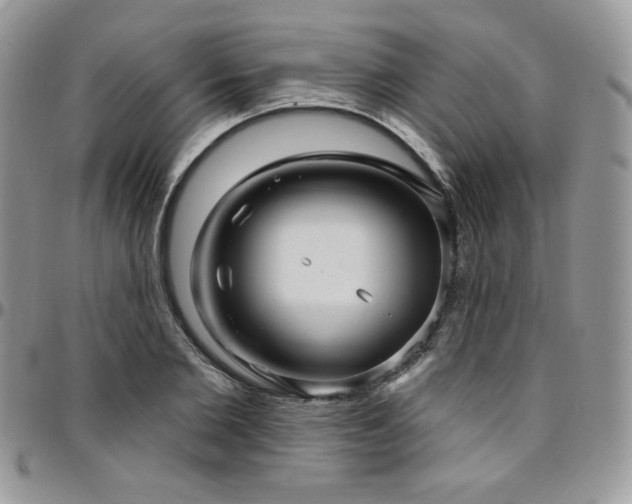 X0000095130885200712071305