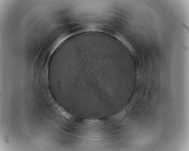 X0000095130886200712071305