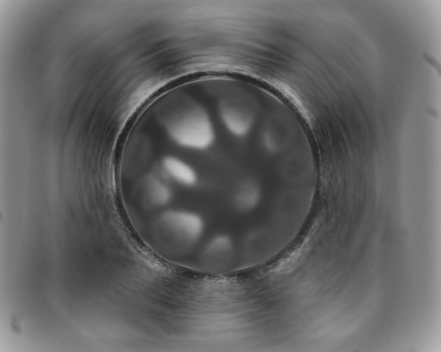 X0000095130887200712071305