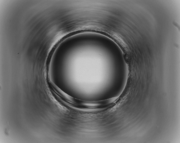 X0000095130888200712071305