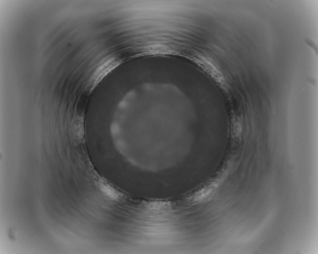 X0000095130889200712071305