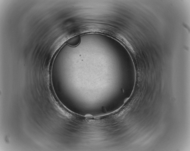 X0000095130890200712071305