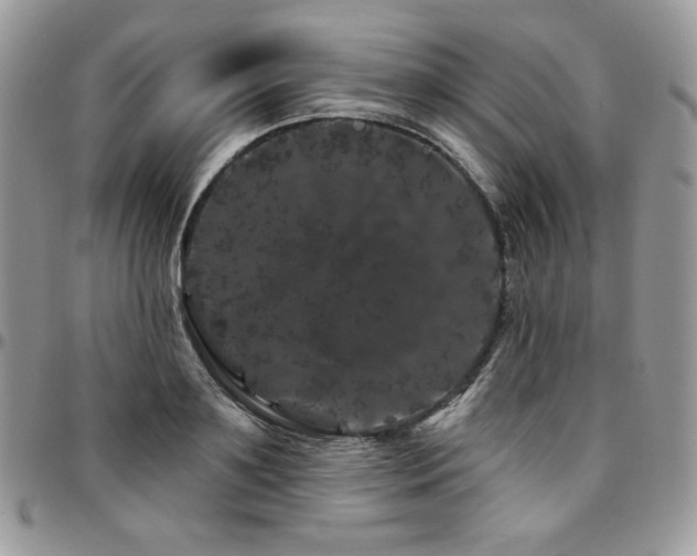 X0000095130891200712071305