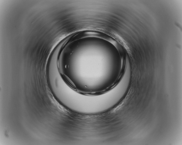 X0000095130892200712071305