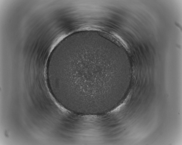 X0000095130893200712071305