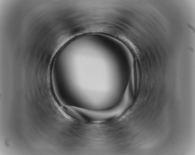 X0000095130894200712071305