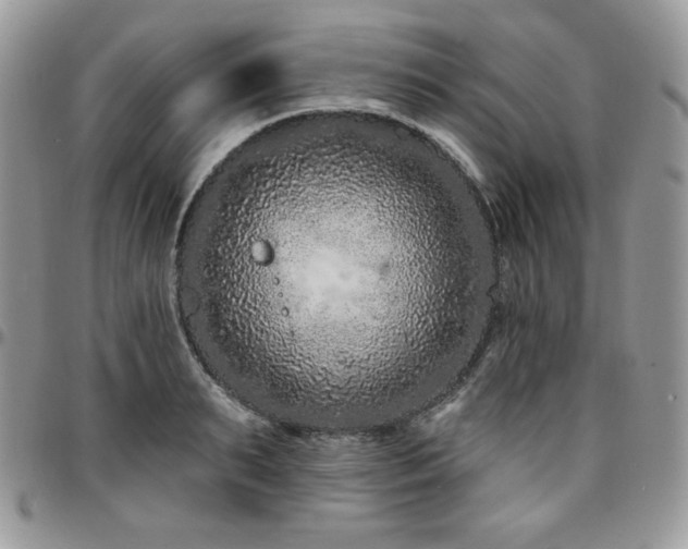 X0000095130895200712071305