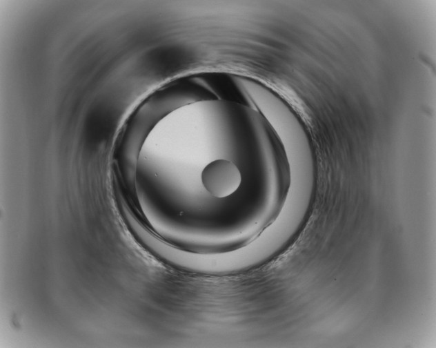 X0000095130896200712071305