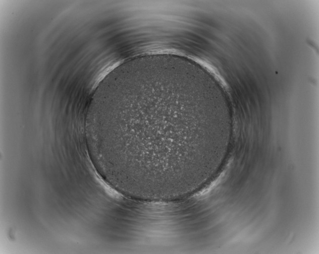 X0000095130897200712071305