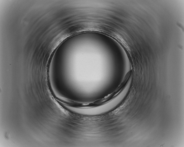 X0000095130898200712071305