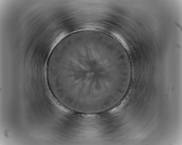 X0000095130899200712071305