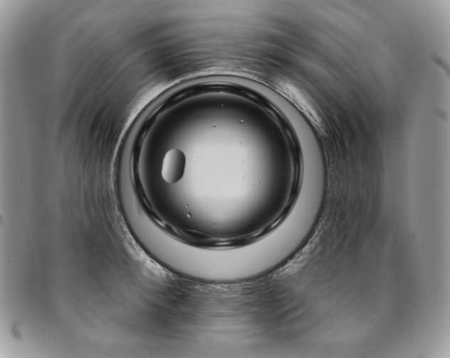 X0000095130900200712071305