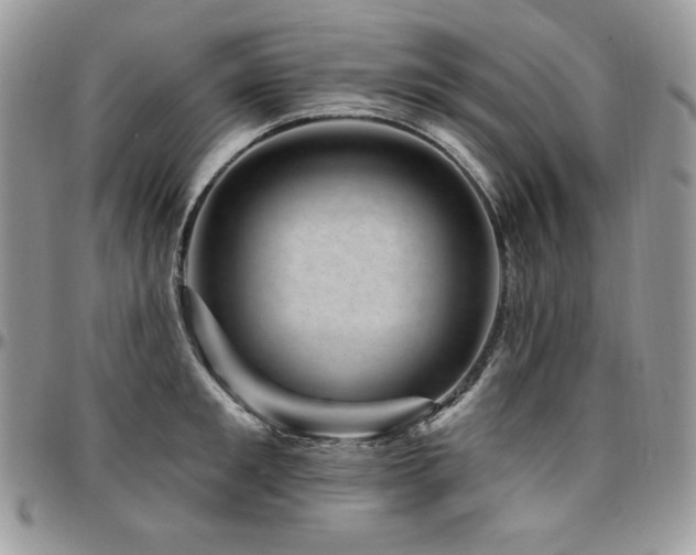 X0000095130901200712071305