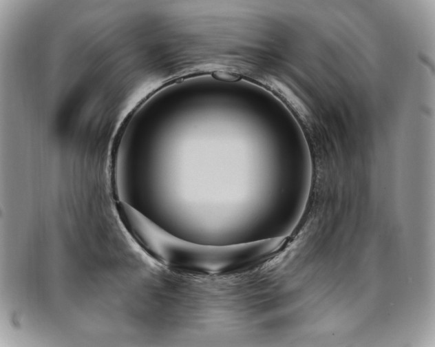 X0000095130902200712071305