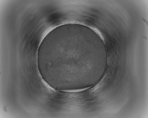 X0000095130903200712071305