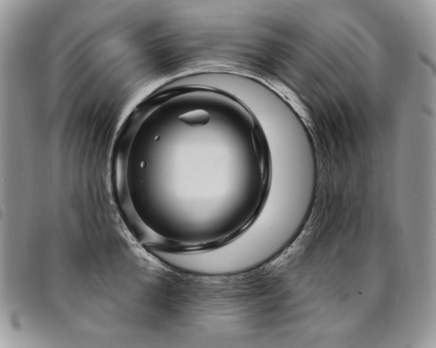 X0000095130904200712071305