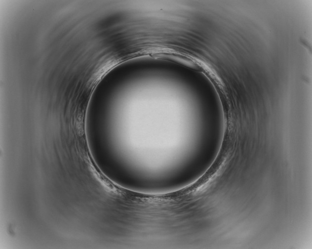 X0000095130905200712071305