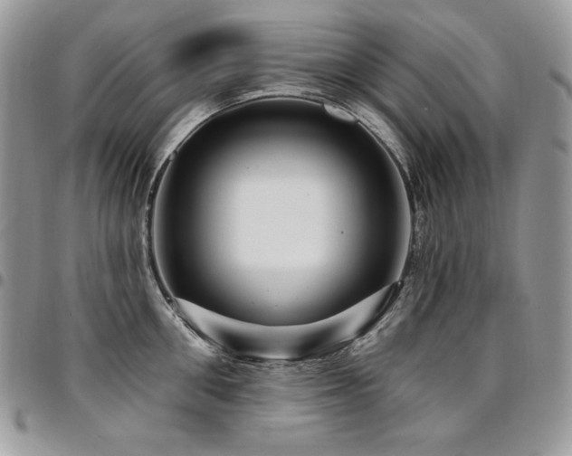 X0000095130906200712071305