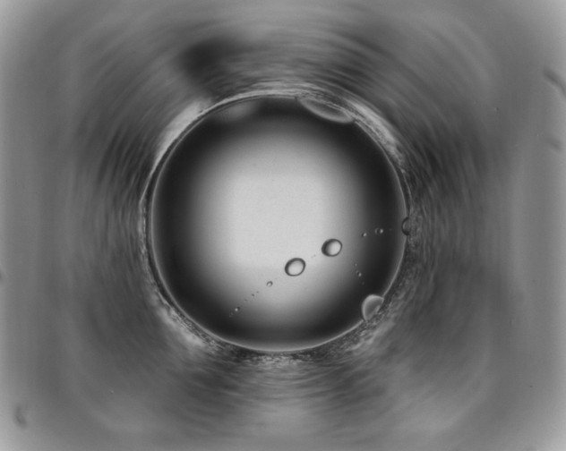 X0000095130907200712071305