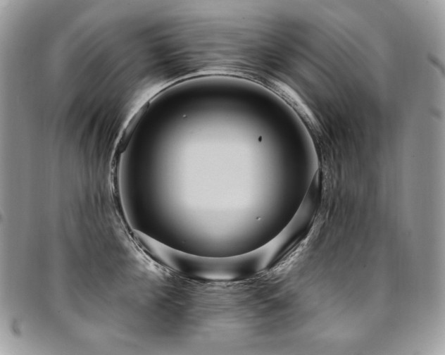 X0000095130908200712071305