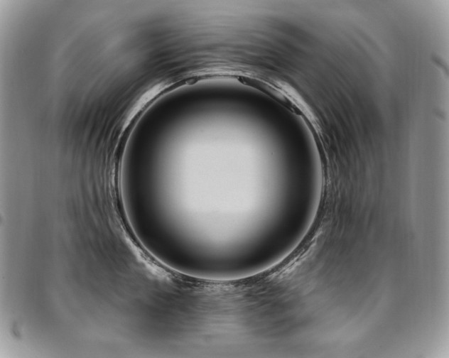 X0000095130909200712071305