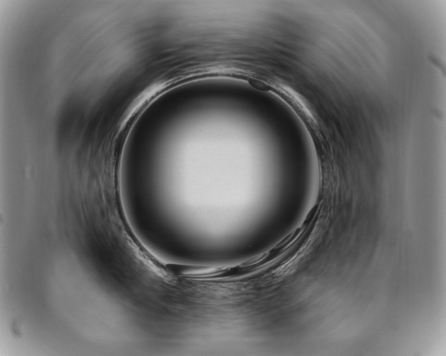 X0000095130910200712071305