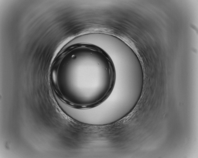 X0000095130912200712071305