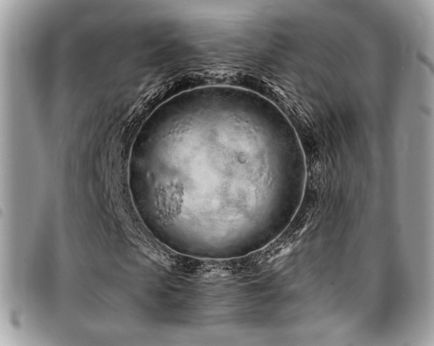 X0000095130913200712071304