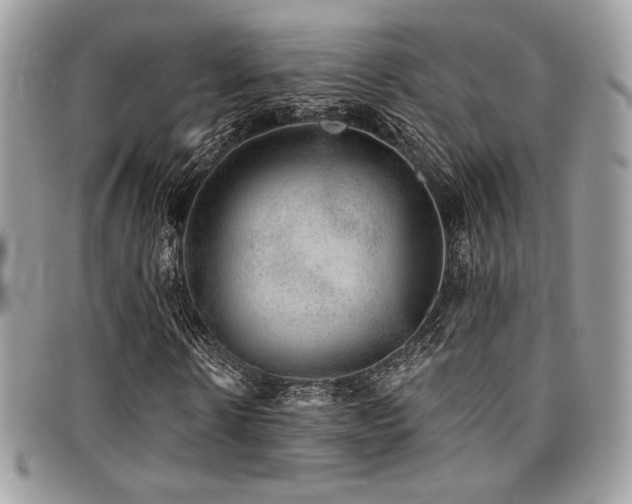 X0000095130914200712071304