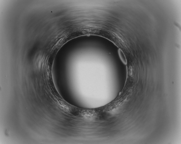 X0000095130915200712071304