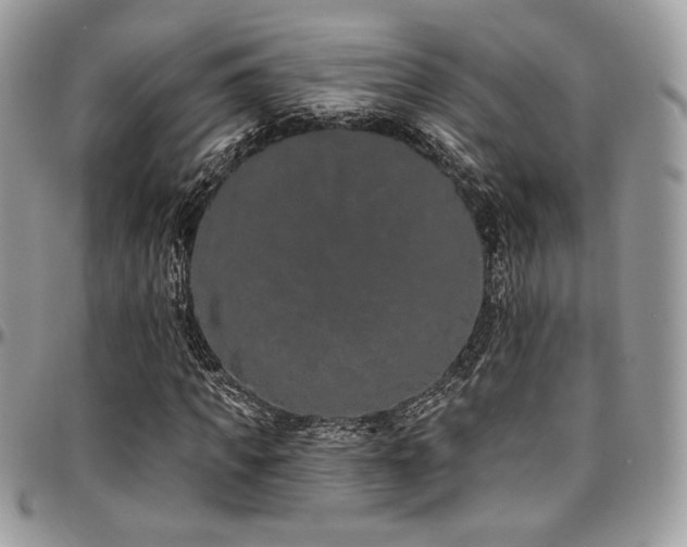 X0000095130917200712071304