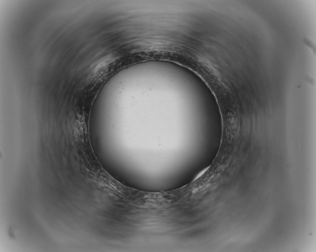 X0000095130918200712071304