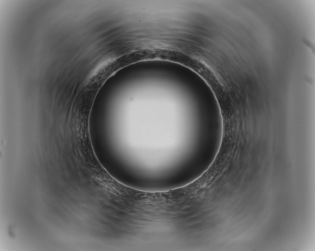 X0000095130919200712071304