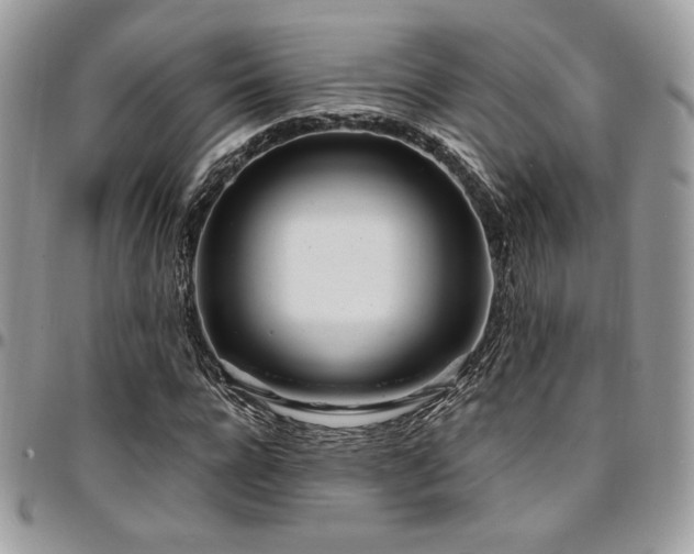 X0000095130920200712071304