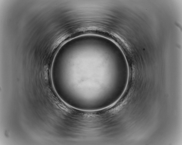 X0000095130921200712071304