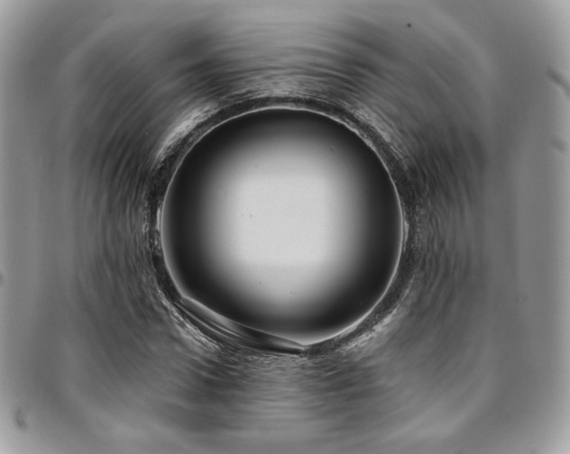 X0000095130922200712071304