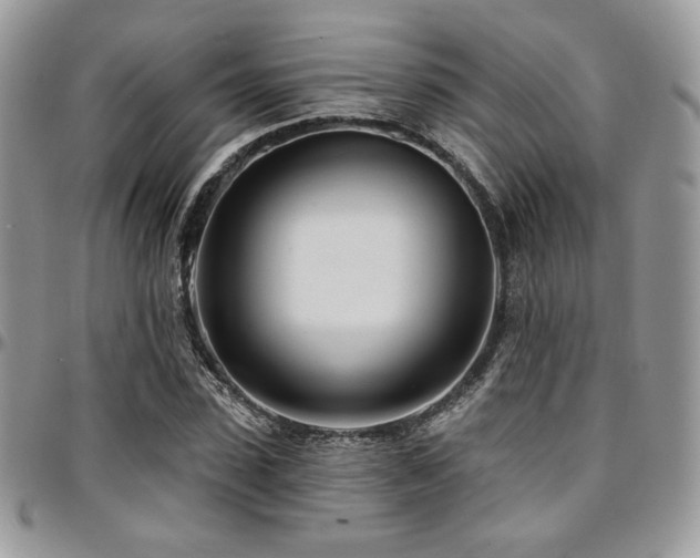 X0000095130923200712071304