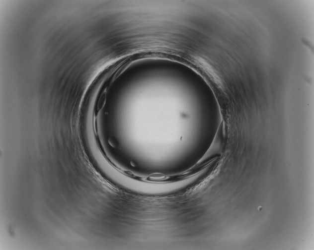 X0000095130924200712071304