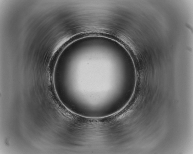 X0000095130925200712071304